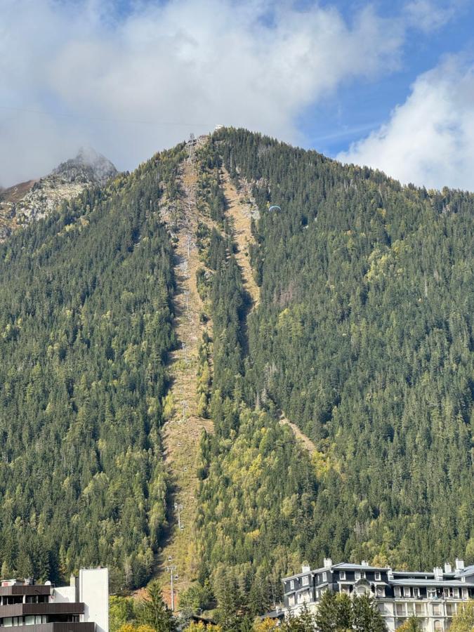 Appartement Cocon Au Coeur De Chamonix Avec Parking Gratuit Extérieur photo