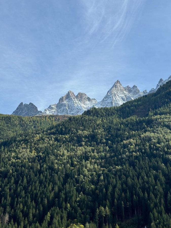 Appartement Cocon Au Coeur De Chamonix Avec Parking Gratuit Extérieur photo